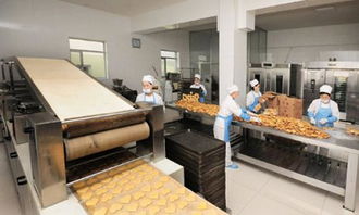 西安食品廠凈化車間規(guī)范要求與軟件開(kāi)發(fā)前的潔凈車間設(shè)計(jì)關(guān)鍵點(diǎn)